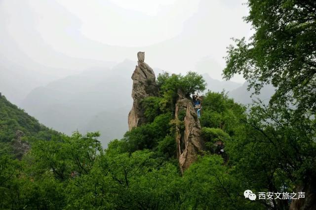@全国医务工作者,西安景区全年免费