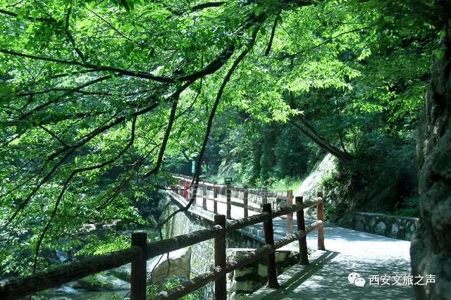 @全国医务工作者,西安景区全年免费