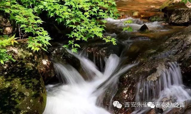 @全国医务工作者,西安景区全年免费