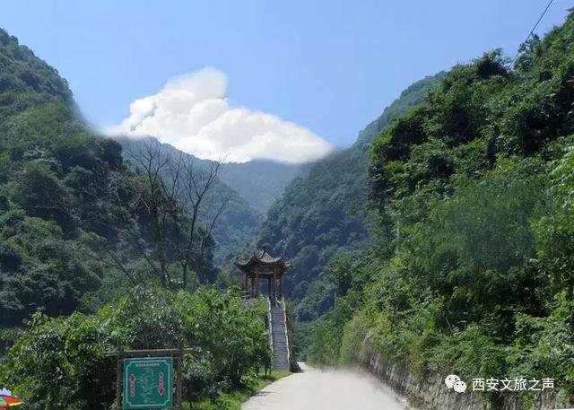 @全国医务工作者,西安景区全年免费