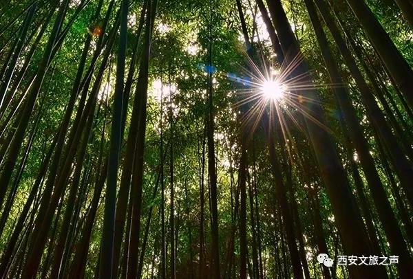 @全国医务工作者,西安景区全年免费